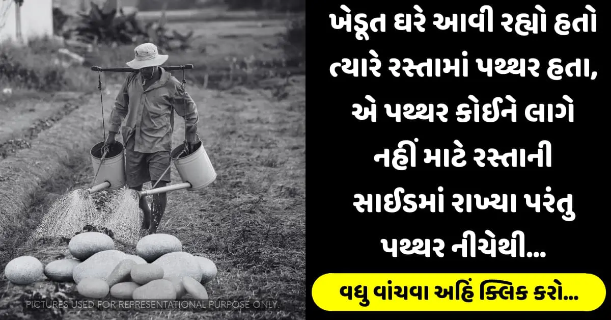 ખેડૂત ઘરે આવી રહ્યો હતો ત્યારે રસ્તામાં પથ્થર હતા, એ પથ્થર કોઈને લાગે નહીં માટે રસ્તાની સાઈડમાં રાખ્યા પરંતુ પથ્થર નીચેથી…