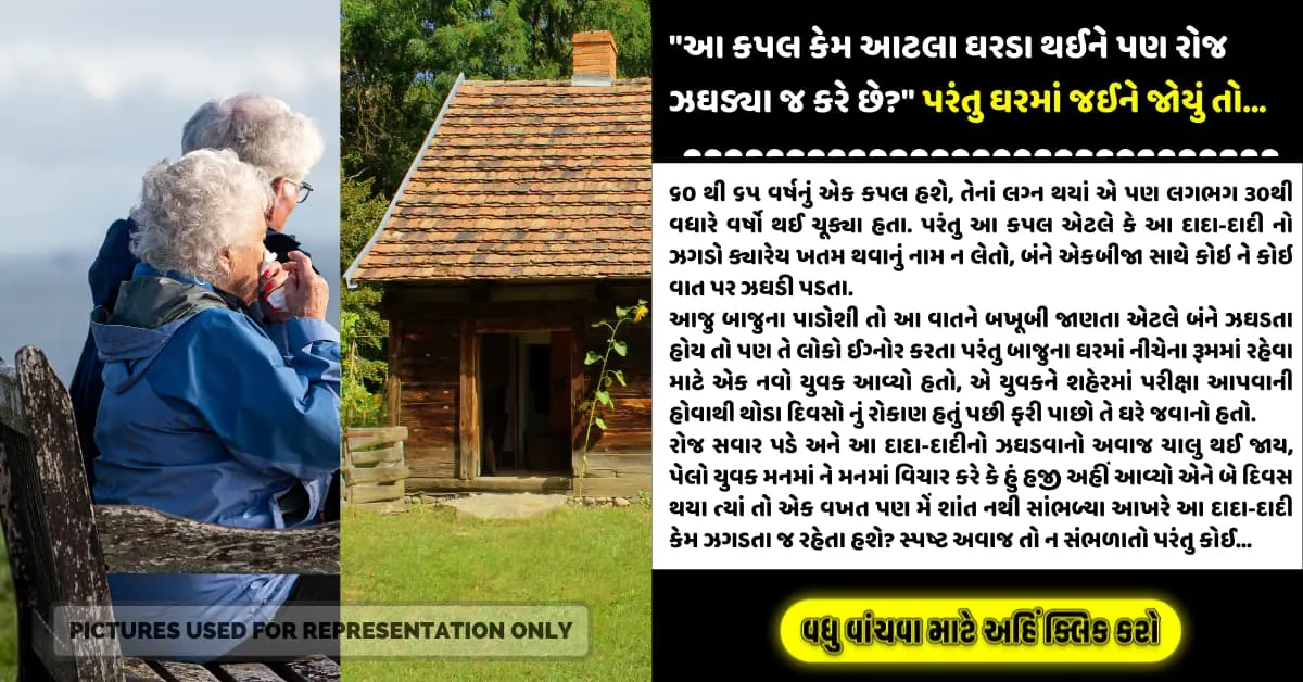 “આ કપલ કેમ આટલા ઘરડા થઈને પણ રોજ ઝઘડ્યા જ કરે છે?” પરંતુ ઘરમાં જઈને જોયું તો…