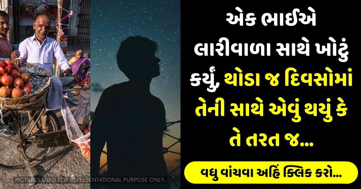 એક ભાઈએ લારીવાળા સાથે ખોટું કર્યું, થોડા જ દિવસોમાં તેની સાથે એવું થયું કે તે તરત જ…