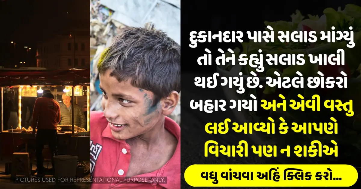 દુકાનદાર પાસે સલાડ માગ્યું તો તેને કહ્યું સલાડ ખાલી થઈ ગયું છે, એટલે છોકરો બહાર ગયો અને એવી વસ્તુ લઈ આવ્યો કે આપણે વિચારી…